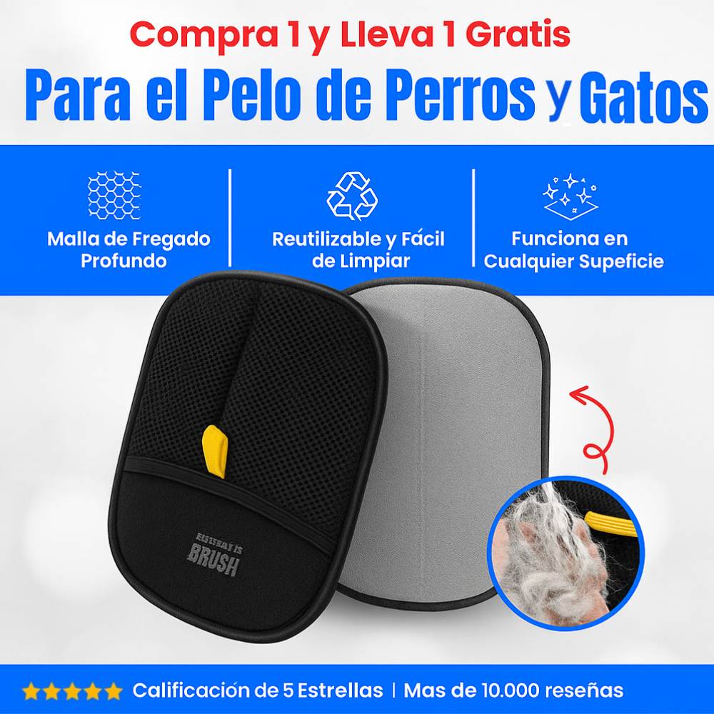 Magic Brush™: Compra 1 y Lleva 1 Gratis