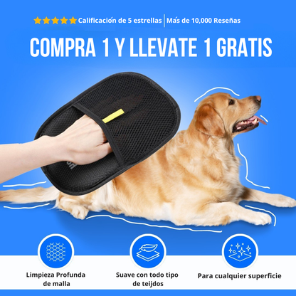 Magic Brush™: Compra 1 y Lleva 1 Gratis