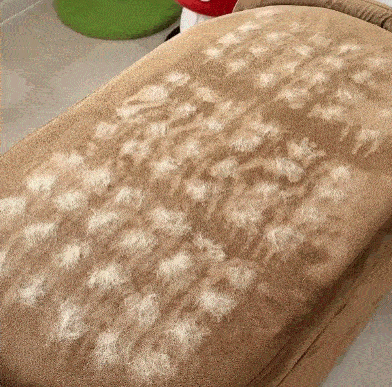 Magic Brush™: Compra 1 y Lleva 1 Gratis