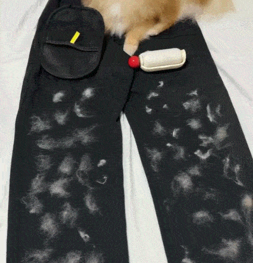 Magic Brush™: Compra 1 y Lleva 1 Gratis