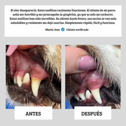 Toallitas Dentales Naturales Para Mascotas