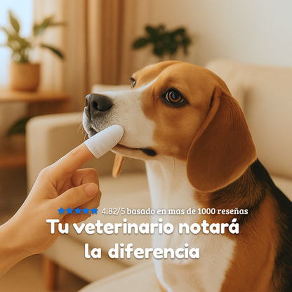 Toallitas Dentales Naturales Para Mascotas